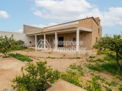 Property with house and wooded grounds