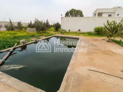 Property with house and wooded grounds