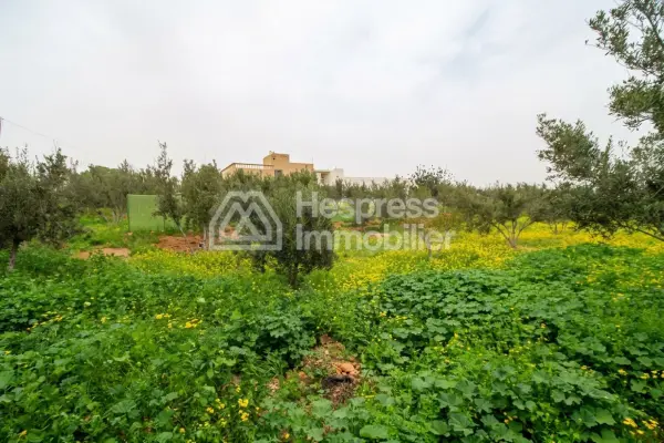 عقار يضم منزلاً وأراضي مشجرة