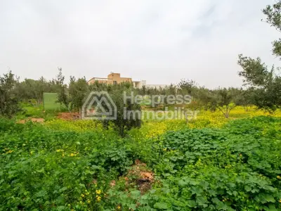 Property with house and wooded grounds