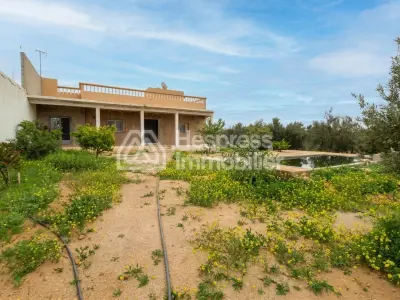 Property with house and wooded grounds