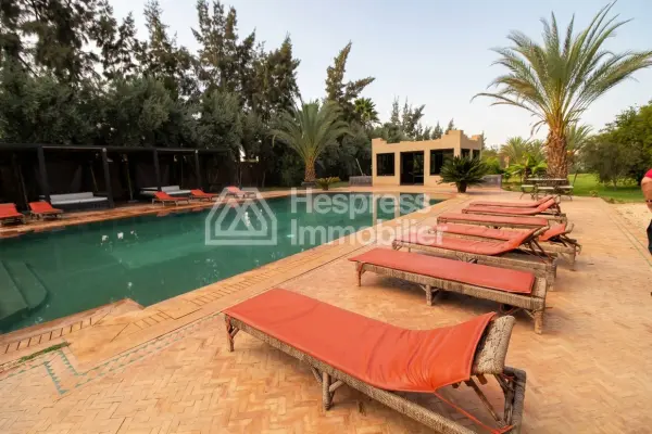 رياض رائع بإطلالة على الجبل