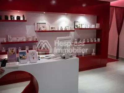Local commercial en location à Gauthier. Superficie 263 m²