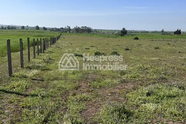 Agricultural land of 2.4 hectares with title deed in the Bensliman region