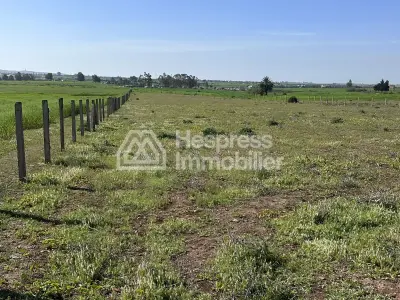 Agricultural land of 2.4 hectares with title deed in the Bensliman region