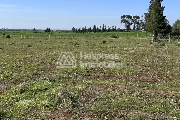 Agricultural land of 2.4 hectares with title deed in the Bensliman region