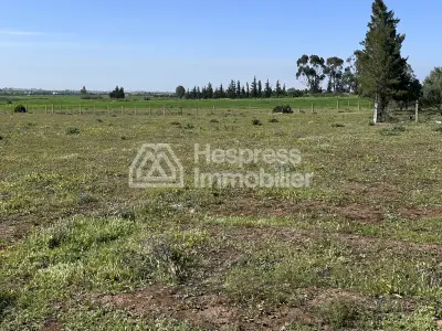Agricultural land of 2.4 hectares with title deed in the Bensliman region