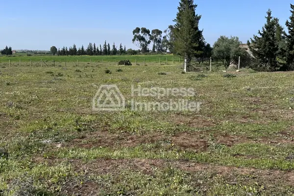 Agricultural land of 2.4 hectares with title deed in the Bensliman region