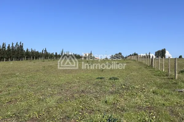 Agricultural land of 2.4 hectares with title deed in the Bensliman region