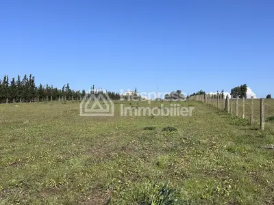 Agricultural land of 2.4 hectares with title deed in the Bensliman region