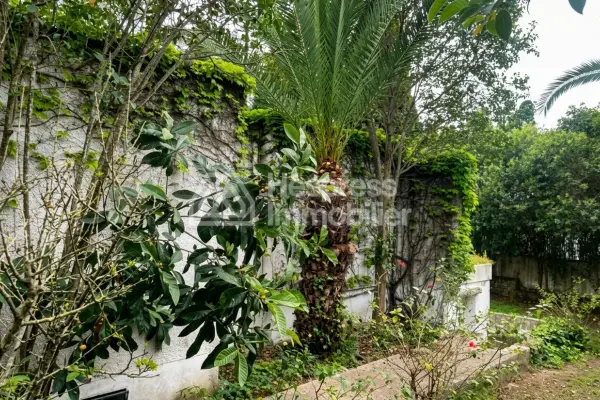 Villa a louer a tanger avec jardin surface terrain 1200m²