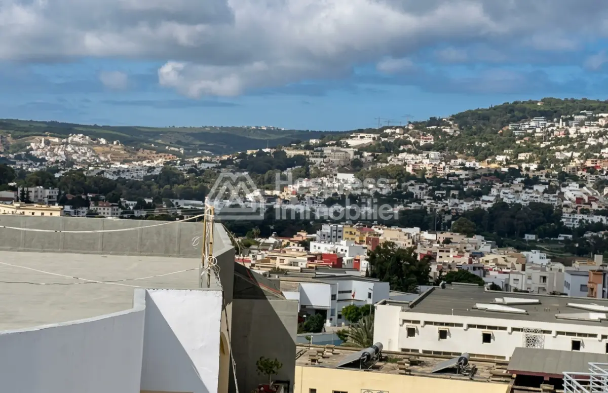 Beautiful new duplex with terrace for rent in the Iberia district, 340m² in area