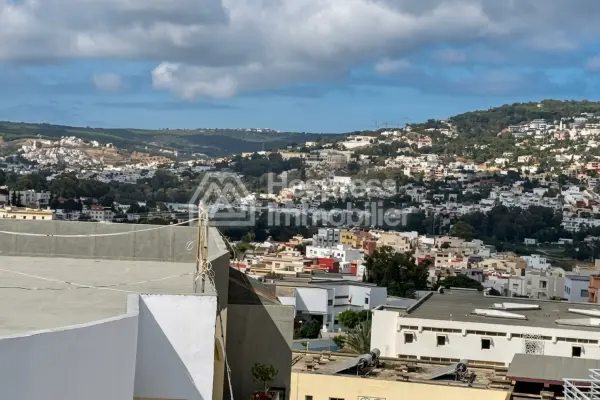 Magnifique duplex neuf avec terrasse a louer quartier iberia surface 340m²