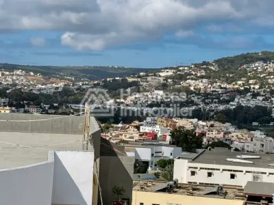 Beautiful new duplex with terrace for rent in the Iberia district, 340m² in area