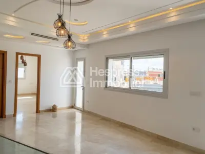 Beautiful new duplex with terrace for rent in the Iberia district, 340m² in area