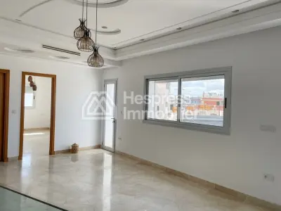 Beautiful new duplex with terrace for rent in the Iberia district, 340m² in area