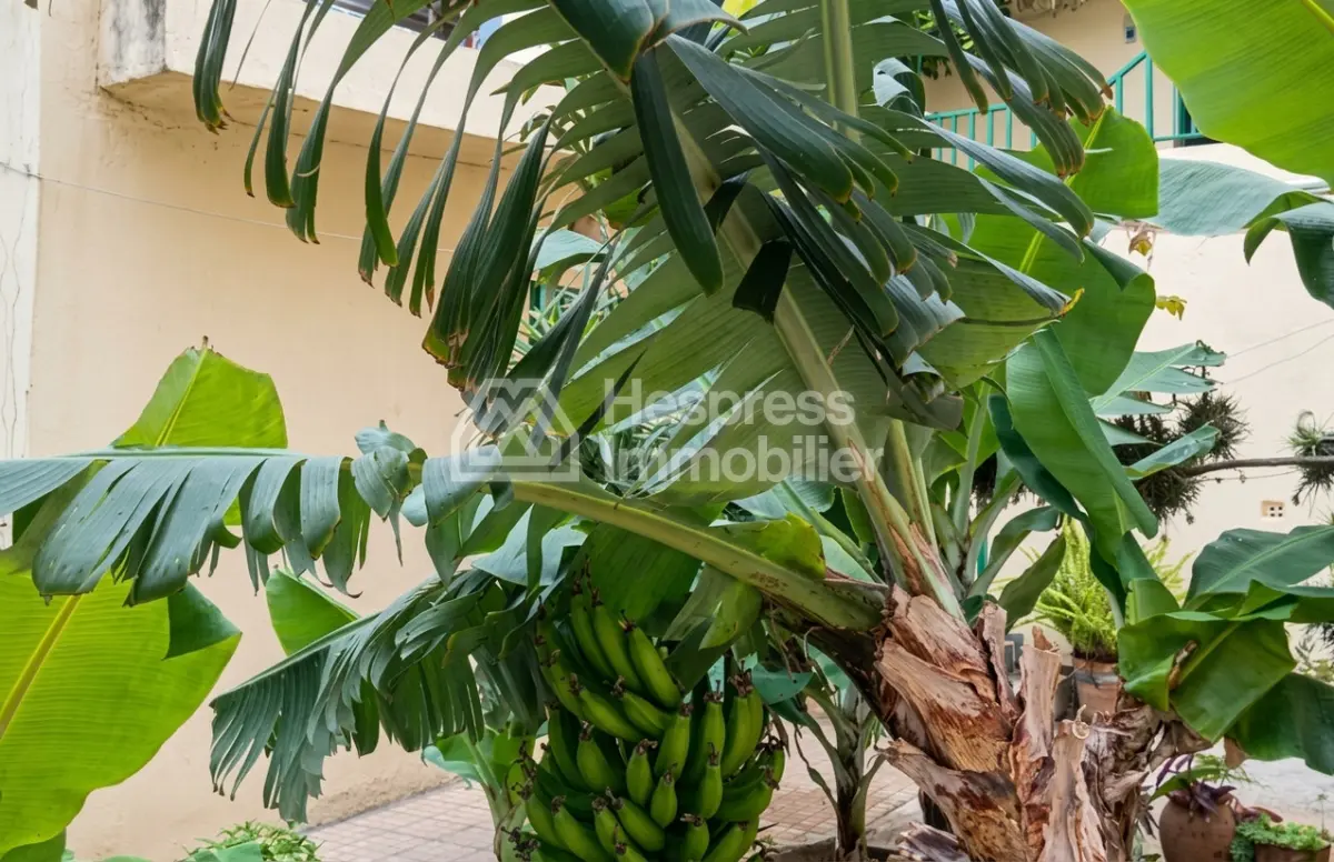 Villa independante a vendre a tanger surface 465m²