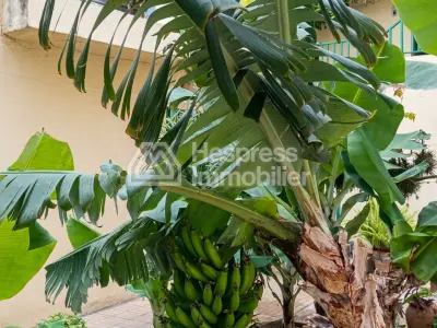 Villa independante a vendre a tanger surface 465m²