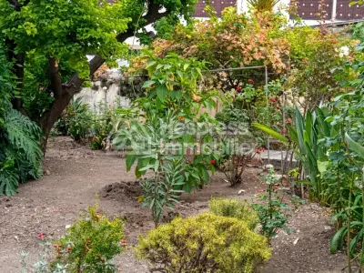 Villa independante a vendre a tanger surface 465m²