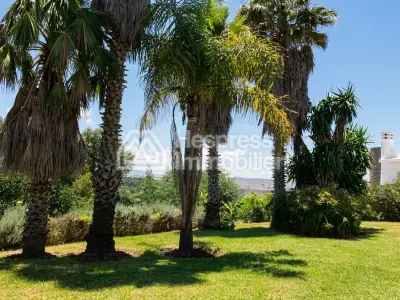Magnificent villa for sale in Tangier surface area 2480 m²