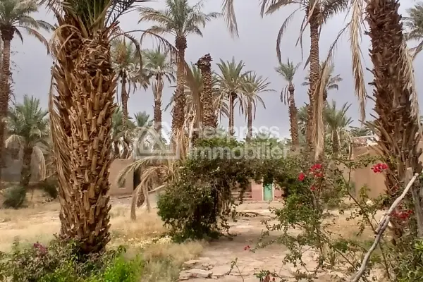 نُزُل/موقع تخييم، مساحته 3000 متر مربع، مُسجّل، في مركز قرية تازارين، زاغورا