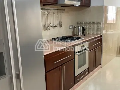 Appartement avec terrasse a louer quartier administratif surface 280m²