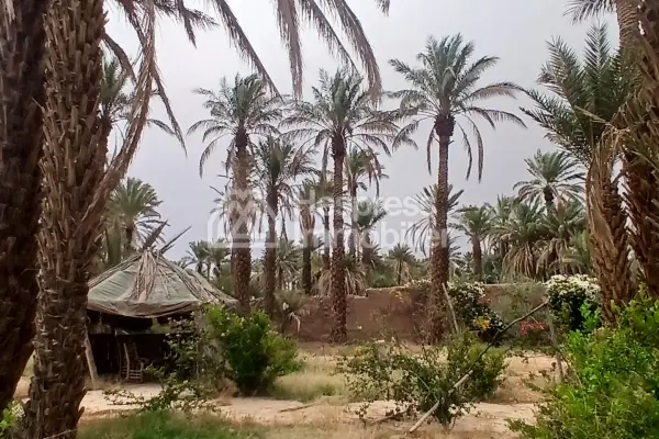 نُزُل/موقع تخييم، مساحته 3000 متر مربع، مُسجّل، في مركز قرية تازارين، زاغورا