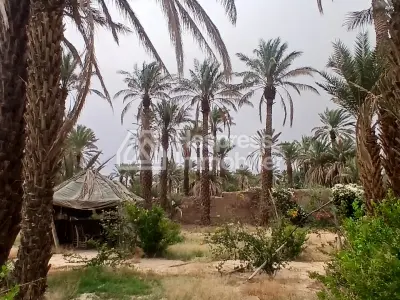 نُزُل/موقع تخييم، مساحته 3000 متر مربع، مُسجّل، في مركز قرية تازارين، زاغورا