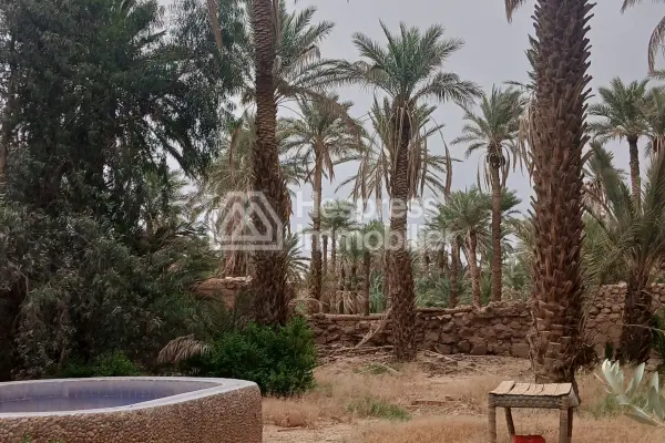 نُزُل/موقع تخييم، مساحته 3000 متر مربع، مُسجّل، في مركز قرية تازارين، زاغورا