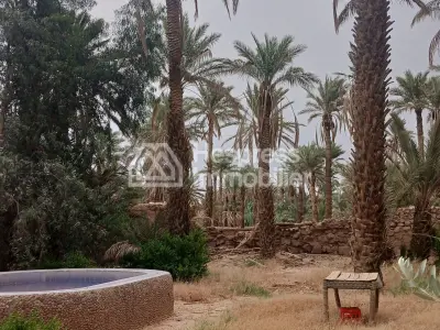 نُزُل/موقع تخييم، مساحته 3000 متر مربع، مُسجّل، في مركز قرية تازارين، زاغورا