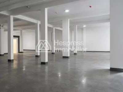 Large premises/garage, 294m², for rent or sale