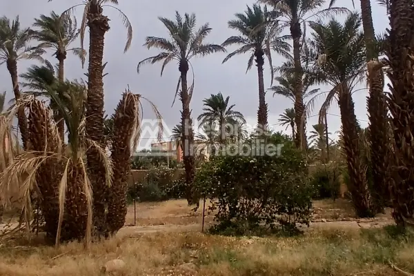 نُزُل/موقع تخييم، مساحته 3000 متر مربع، مُسجّل، في مركز قرية تازارين، زاغورا