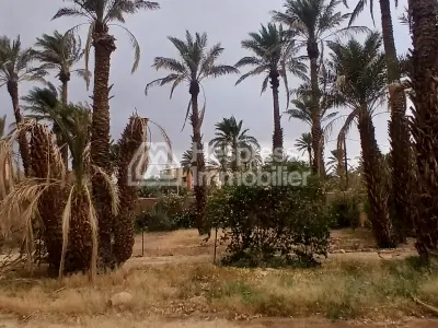 نُزُل/موقع تخييم، مساحته 3000 متر مربع، مُسجّل، في مركز قرية تازارين، زاغورا