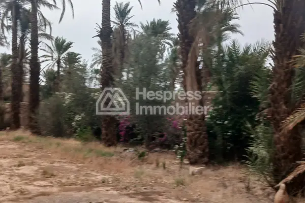 نُزُل/موقع تخييم، مساحته 3000 متر مربع، مُسجّل، في مركز قرية تازارين، زاغورا