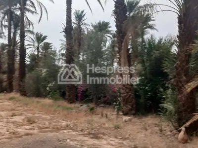نُزُل/موقع تخييم، مساحته 3000 متر مربع، مُسجّل، في مركز قرية تازارين، زاغورا