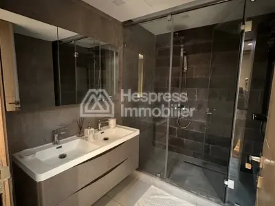 Superbe appartement penthouse à vendre à racine