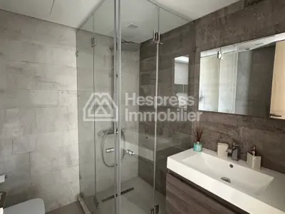 Superbe appartement penthouse à vendre à racine
