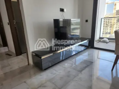 Beautiful furnished apartment for rent, CFC
