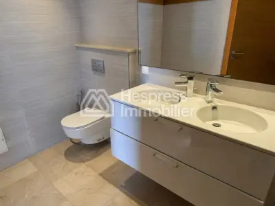 Luxurious apartment for rent, CFC green towers
