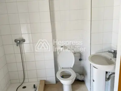 Luxurious apartment for rent, CFC green towers