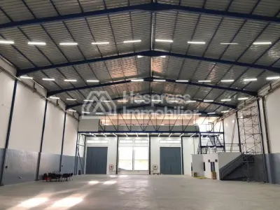 Beautiful new warehouse for rent, 1124 m2 floor area, SAPINO