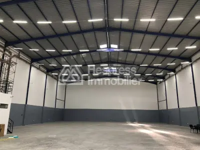Beautiful new warehouse for rent, 1124 m2 floor area, SAPINO