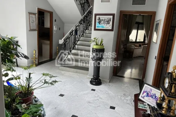 Somptueux DUPLEX avec TERRASSES à vendre RACINE