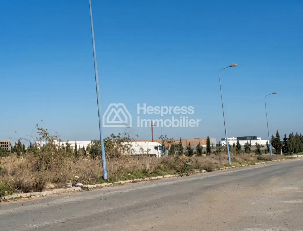 Land for sale in Sapino