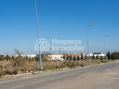Land for sale in Sapino
