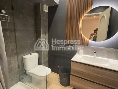 Beautiful furnished apartment for rent in Racine