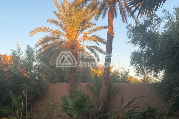 Maison de Lux a vendre a skoura ، ورزازات