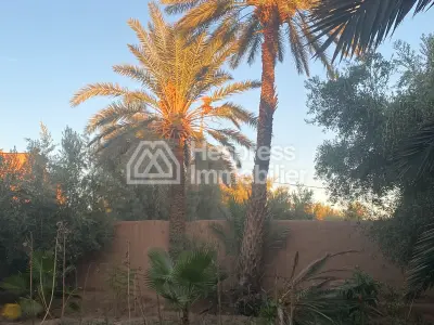 Maison de Lux a vendre a skoura , Ouarzazate
