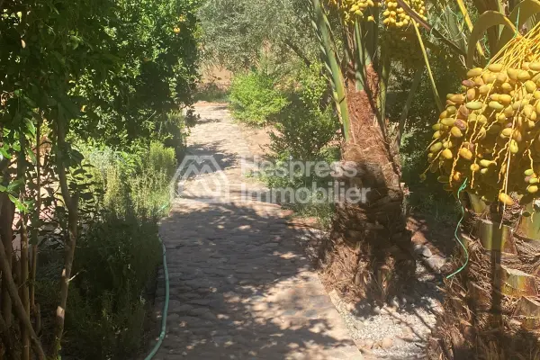 Maison de Lux a vendre a skoura ، ورزازات
