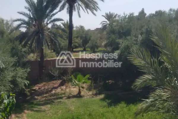 Maison de Lux a vendre a skoura ، ورزازات